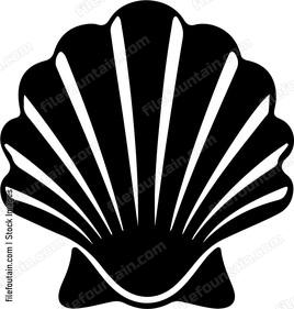 Sea Shell