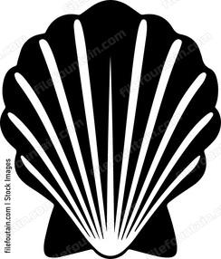 Sea Shell