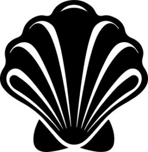 Sea Shell