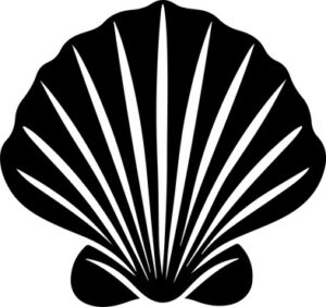 Sea Shell