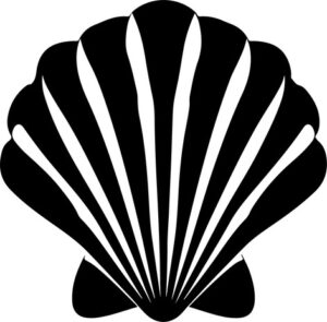 Sea Shell