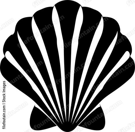 Sea Shell
