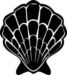 Sea Shell