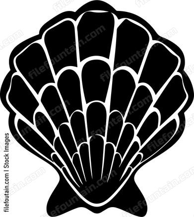 Sea Shell