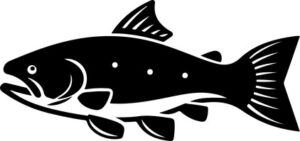 Sea Trout