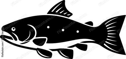 Sea Trout