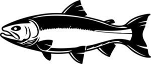 Sea Trout