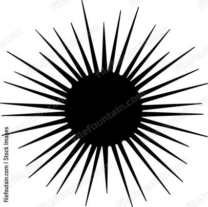 Sea Urchin