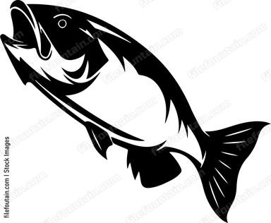 Seabass