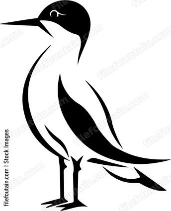 Seabird