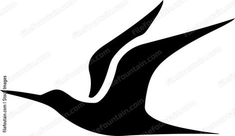 Seabird