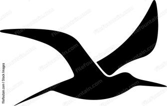 Seabird