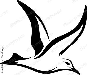 Seagull