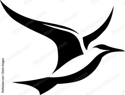Seagull