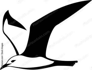 Seagull