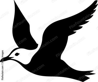 Seagull