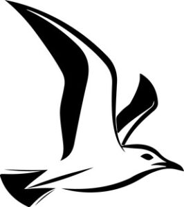 Seagull Design