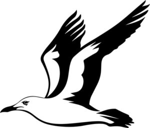 Seagull Flying