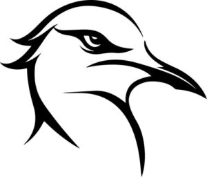 Seagull Head