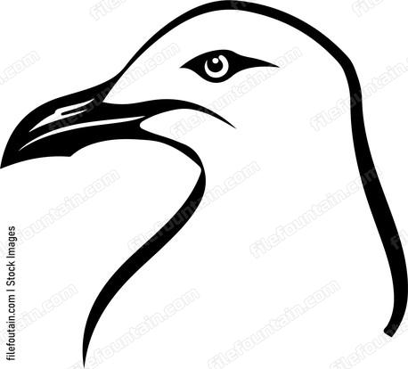 Seagull Head