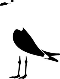 Seagull Pose