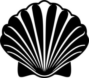 Seashell