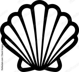 Seashell