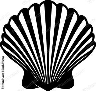 Seashell