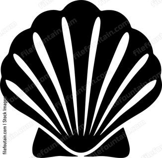 Seashell