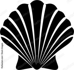 Seashell