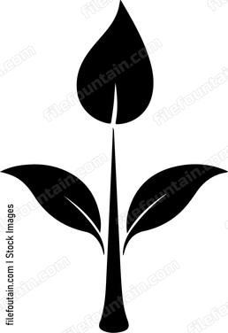 Seed Growing