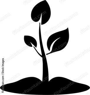 Seed Growing