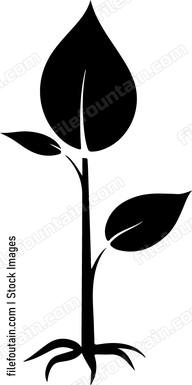 Seed Growing