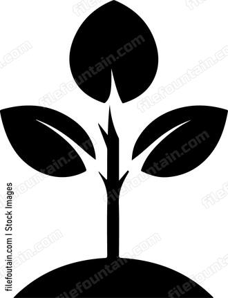 Seed Growing