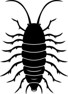 segmented creature with many legs