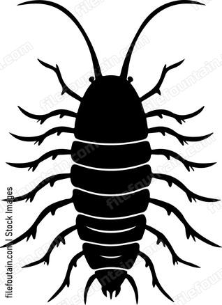 segmented creature with many legs