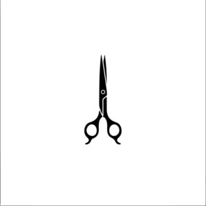 Sewing Scissors
