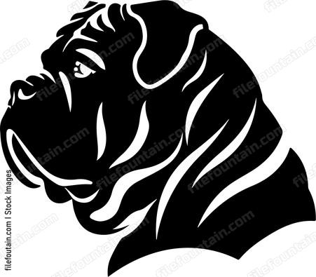 Shar Pei