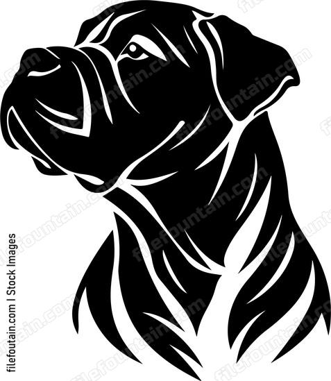 Shar Pei