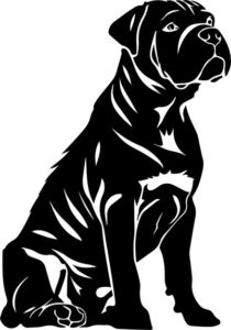 Shar Pei