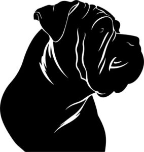 Shar Pei