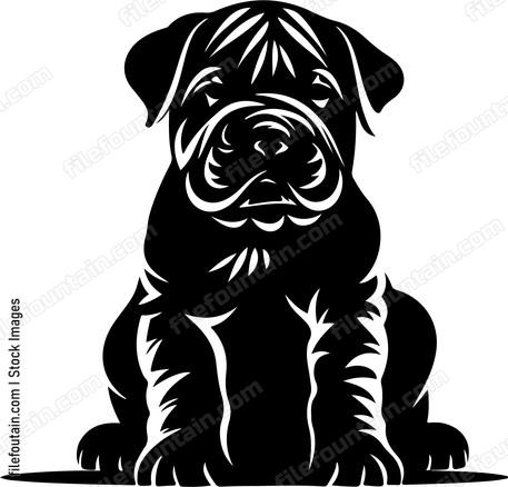 Shar Pei Puppy