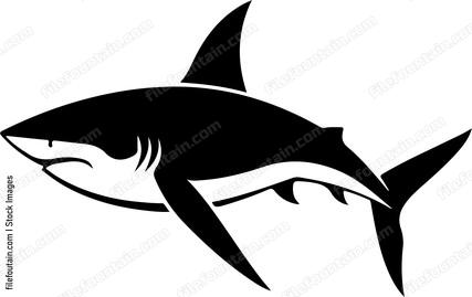 Shark
