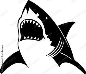 Shark Attacking Design