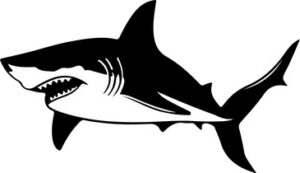 Shark Attacking Design