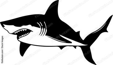 Shark Attacking Design
