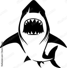 Shark Attacking Design
