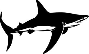 shark silhouette