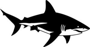 Shark Swimming Silhouette