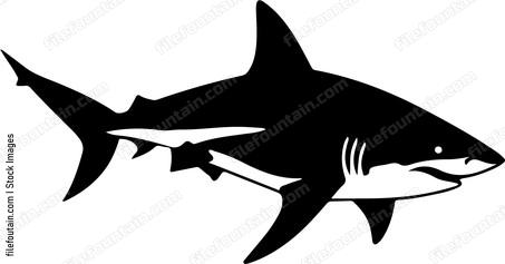 Shark Swimming Silhouette